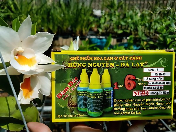 Chế phẩm Hùng Nguyễn (6 trong 1)